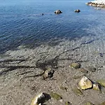 Maka - Omis Duće